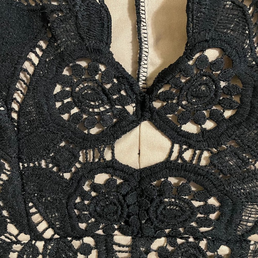 Love Triangle Black Lace Long Sleeve V-Neck Mini Dress - Picture 9 of 15